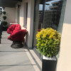Apartament spre închiriere | 3 camere | loc de parcare | Sopor! thumb 14