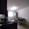 Apartament de inchiriat , 2 camere , zona iulius mall thumb 3