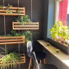 Apartament spre vanzare cu 3 camere in Floresti! thumb 5