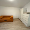 Apartament de închiriat cu 3 camere  in Faget thumb 13