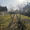 Casa individuala cu 4 dormitoare si gradina de 2000 mp la inchiriere ! thumb 42