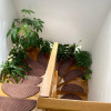 Casa tip duplex spre inchiriere in Floresti ! thumb 13