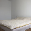 Apartament | De vanzare | 2 Camere | Iris thumb 4