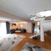 Penthouse de lux spre inchiriere in cartierul Buna Ziua  thumb 2