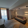 Penthouse de lux spre inchiriere in cartierul Buna Ziua  thumb 5