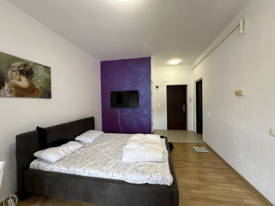 Apartament cu 1 camera | de vânzare | Floresti