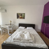 Apartament cu 1 camera | de vânzare | Floresti thumb 2